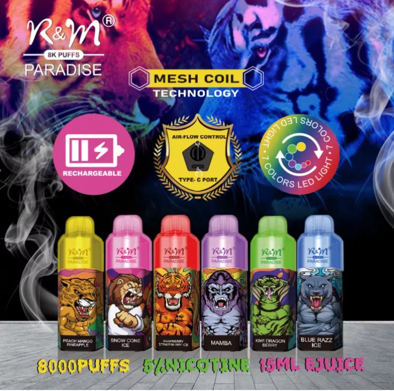 RM PARADISE 8000 puff