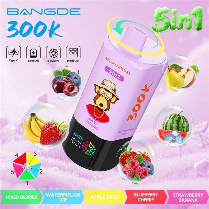 BANG DE 5in1 300000 price