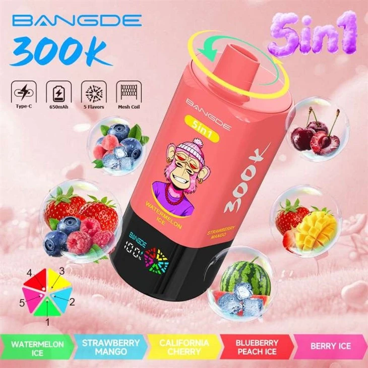 BANG DE 5in1 300000 factory