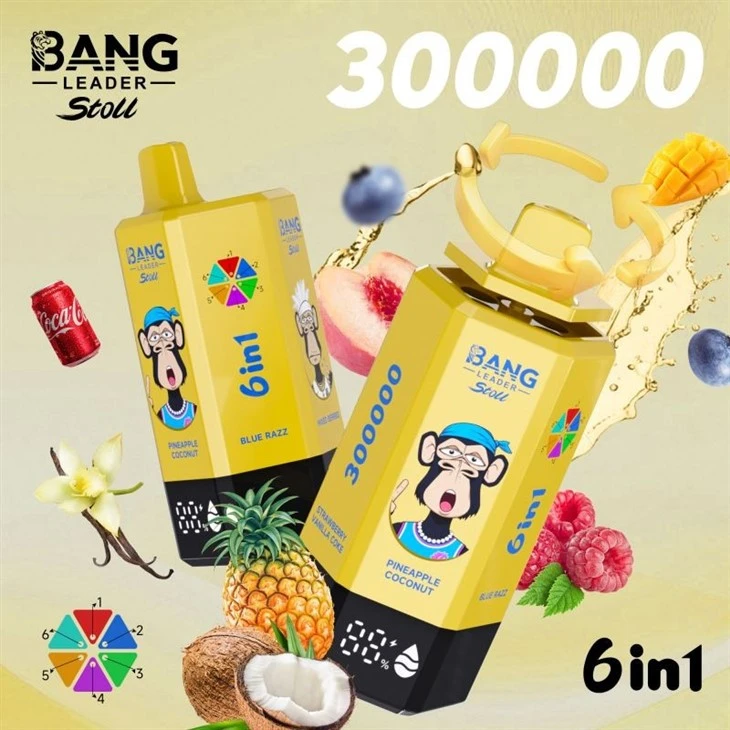 Bang Leader 300000 factory