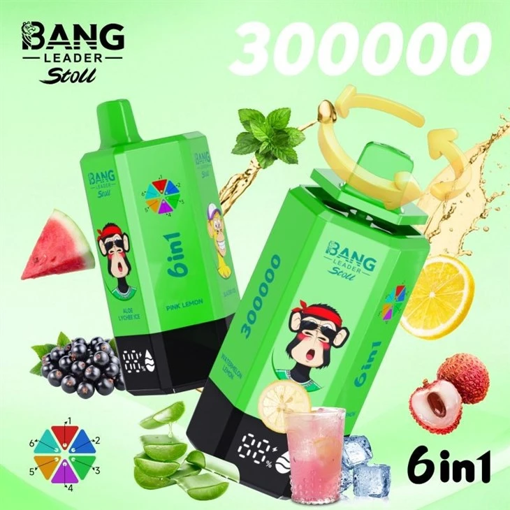 Bang Leader 300000 price