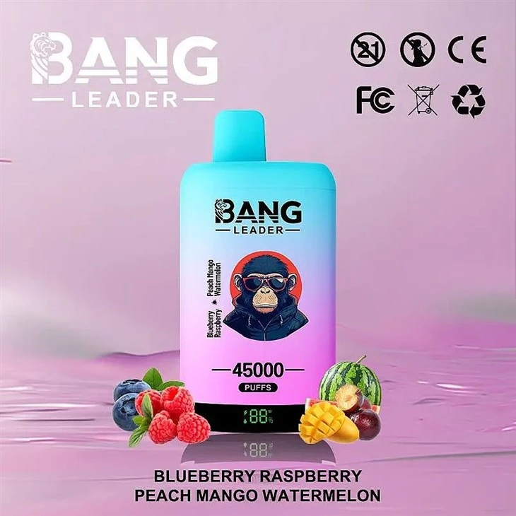 Bang Leader 45000 suppliers