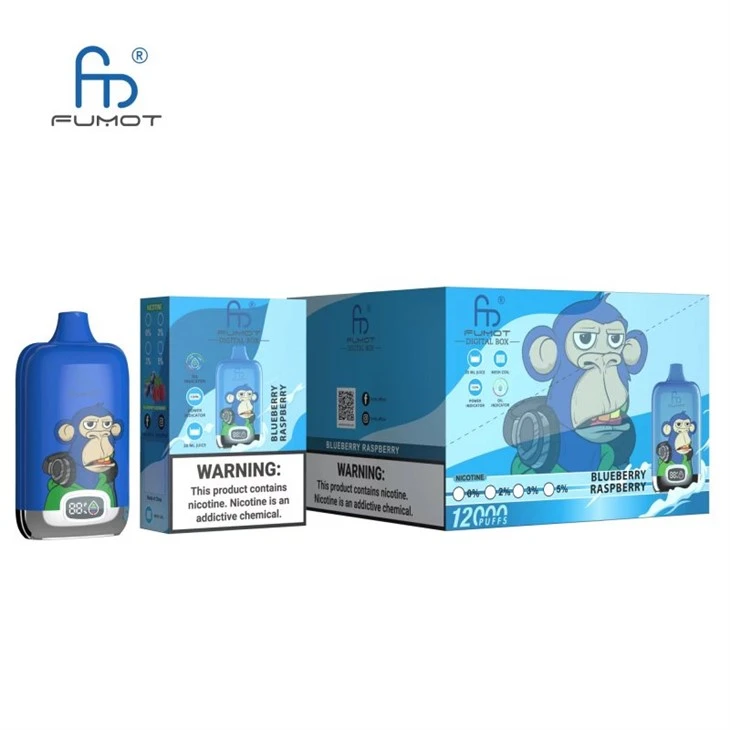 Fumot Randm Digital Box 12000 Puffs