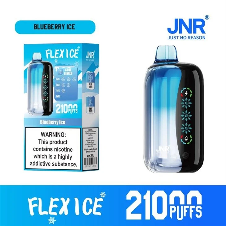 2Blueberry Ice_JNR FLEX ICE 21000
