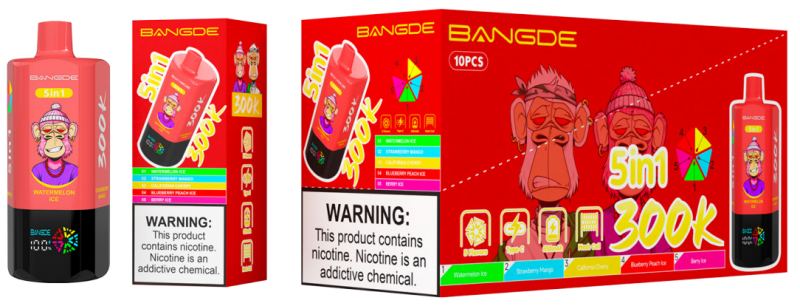 BANG DE 300K-5in1 1 BANG DE 300K-5in1 1