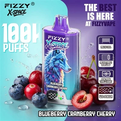 Fizzy 100K X Space: برای دستگاهی که برای مدت طولانی دوام بیاورد چیز قابل توجه...