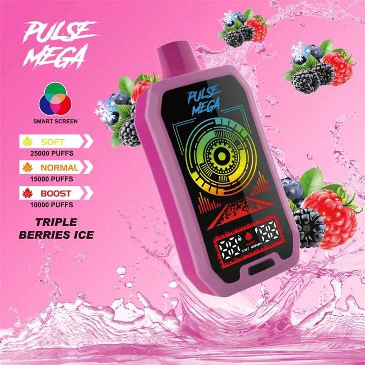 پاف R&M PULSE MEGA 25000