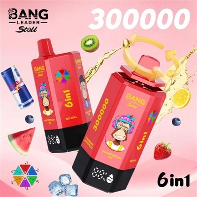 بنگ لیدر 300000