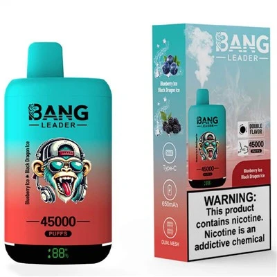 بنگ لیدر 45000