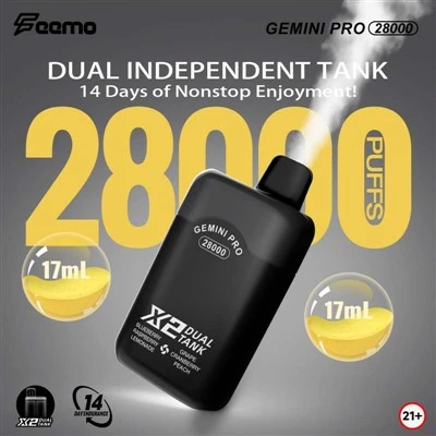 Feemo Gemini Pro 28000 پف