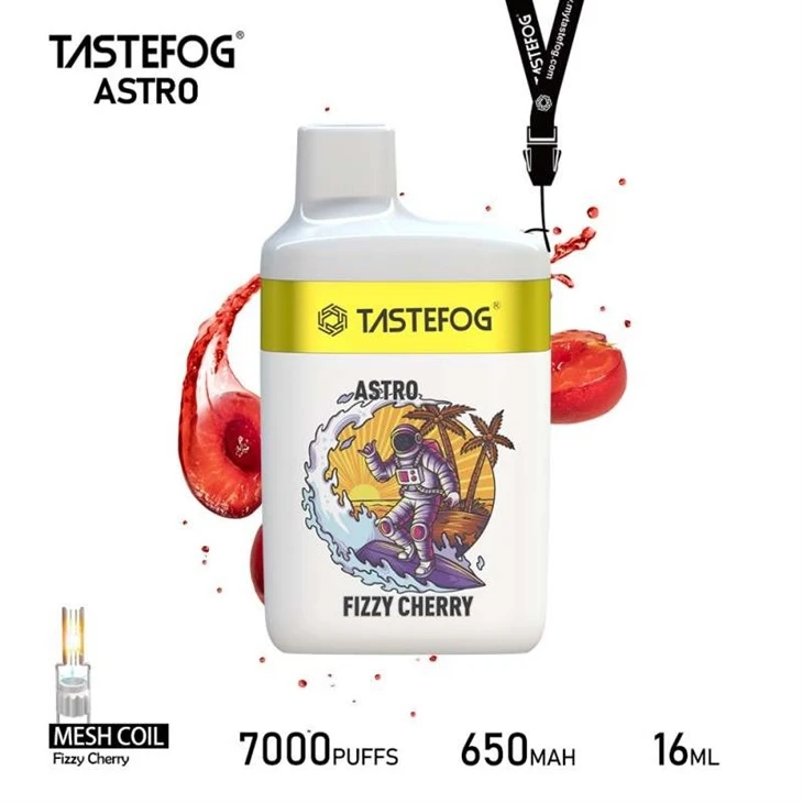 TASTEFOG ASTRO 7000 3