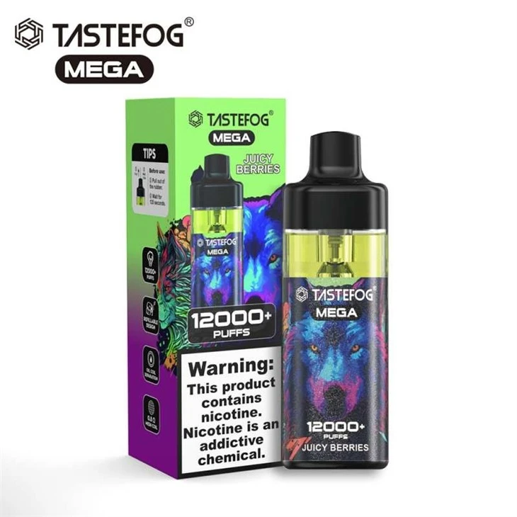 TASTEFOG MEGA 12000 5
