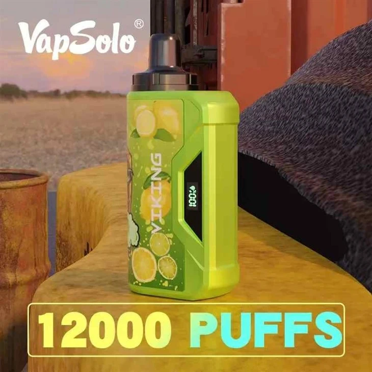 VapSolo VIKING 12000
