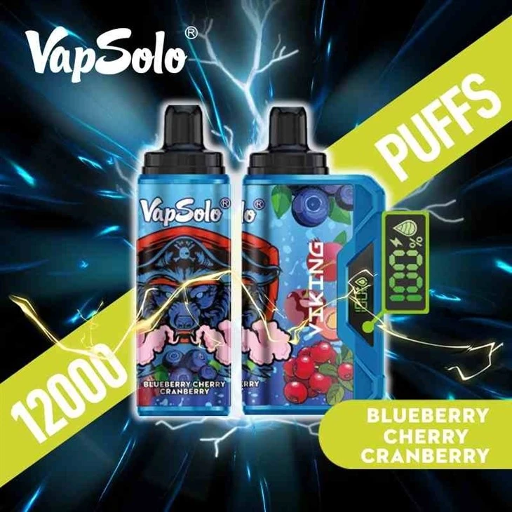Wholesale-Vapsolo-Viking-12000-Puff-Mesh-Coil-Vaper-Pen-Prefilled-Disposable-Electronic-Cigarette_VapSolo VIKING 12000