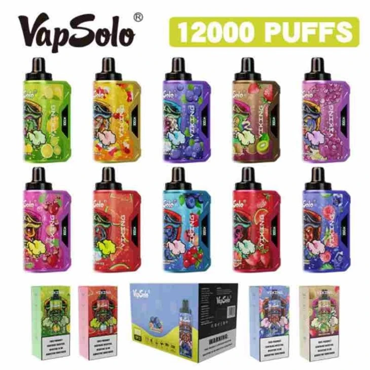 Vapsolo-Viking-Top-Quality-E-Cigarette-Mesh-Coil-Power-Display-Bang-King-Disposable-Vape-12000-Puff-EGO-Hookah_VapSolo VIKING 12000
