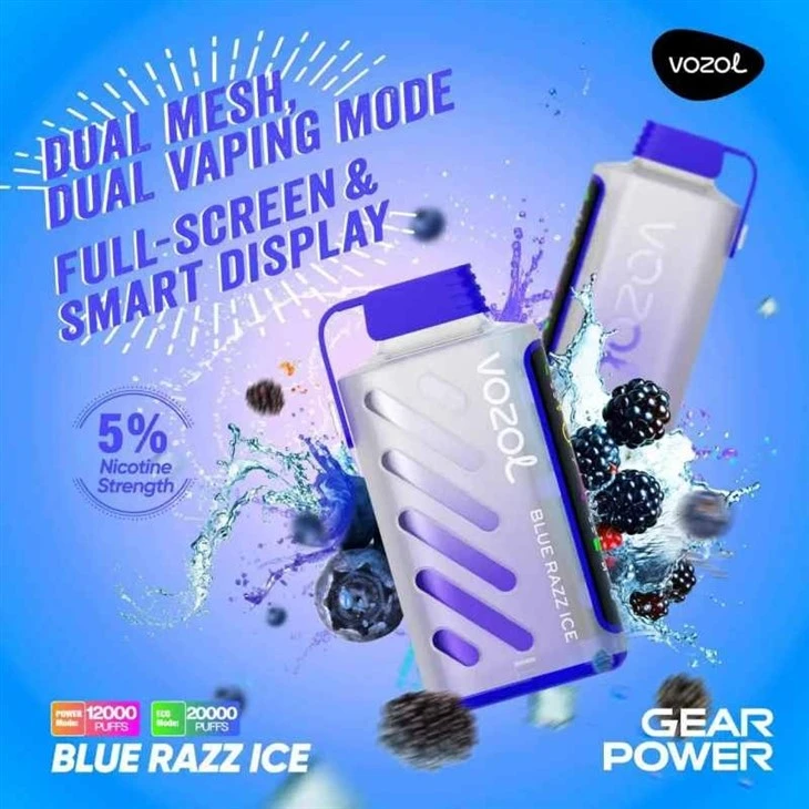 VOZOL GEAR POWER 20000 22