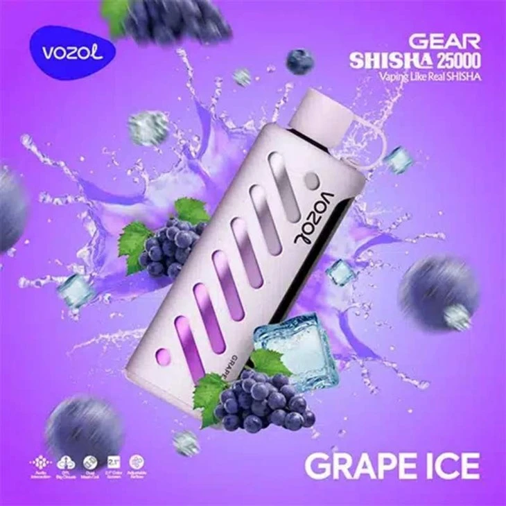 Grape-Ice_VOZOL GEAR SHISHA 25000
