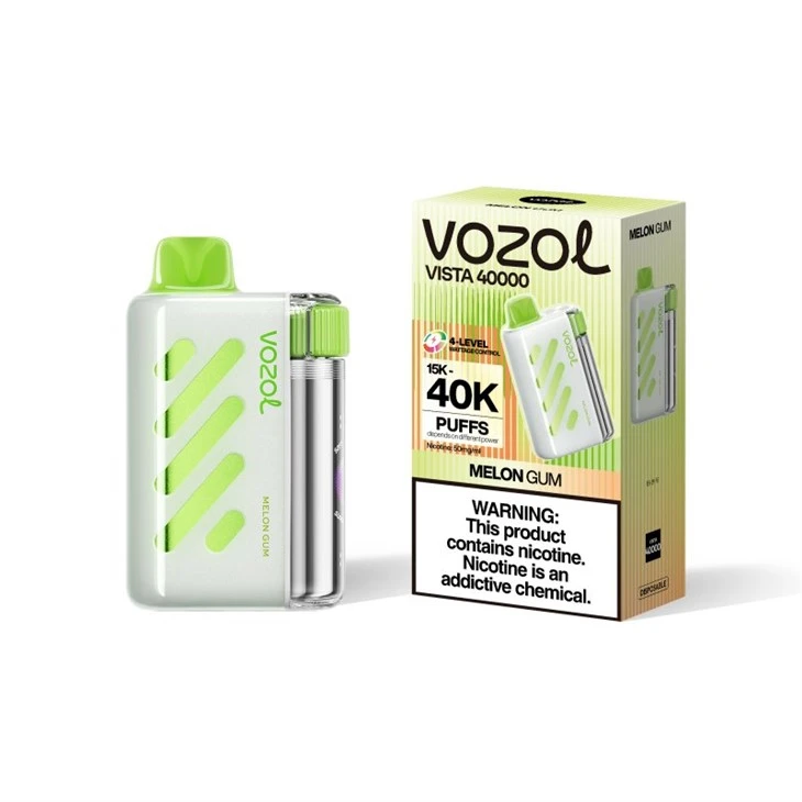 VOZOL VISTA 40000 Puffs